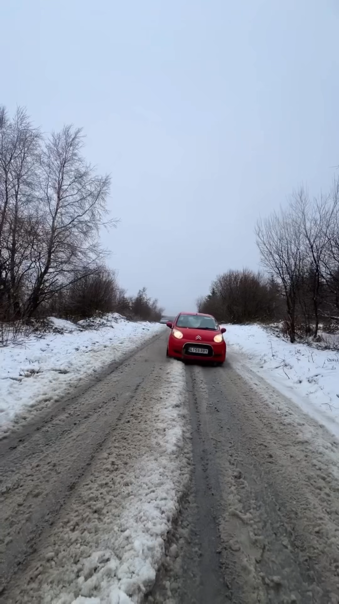 SNOW SKID